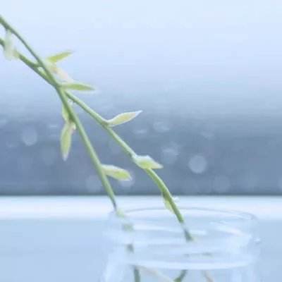 巡洋舰变形金刚正版下载
