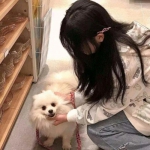 偶像超音速破解版下载